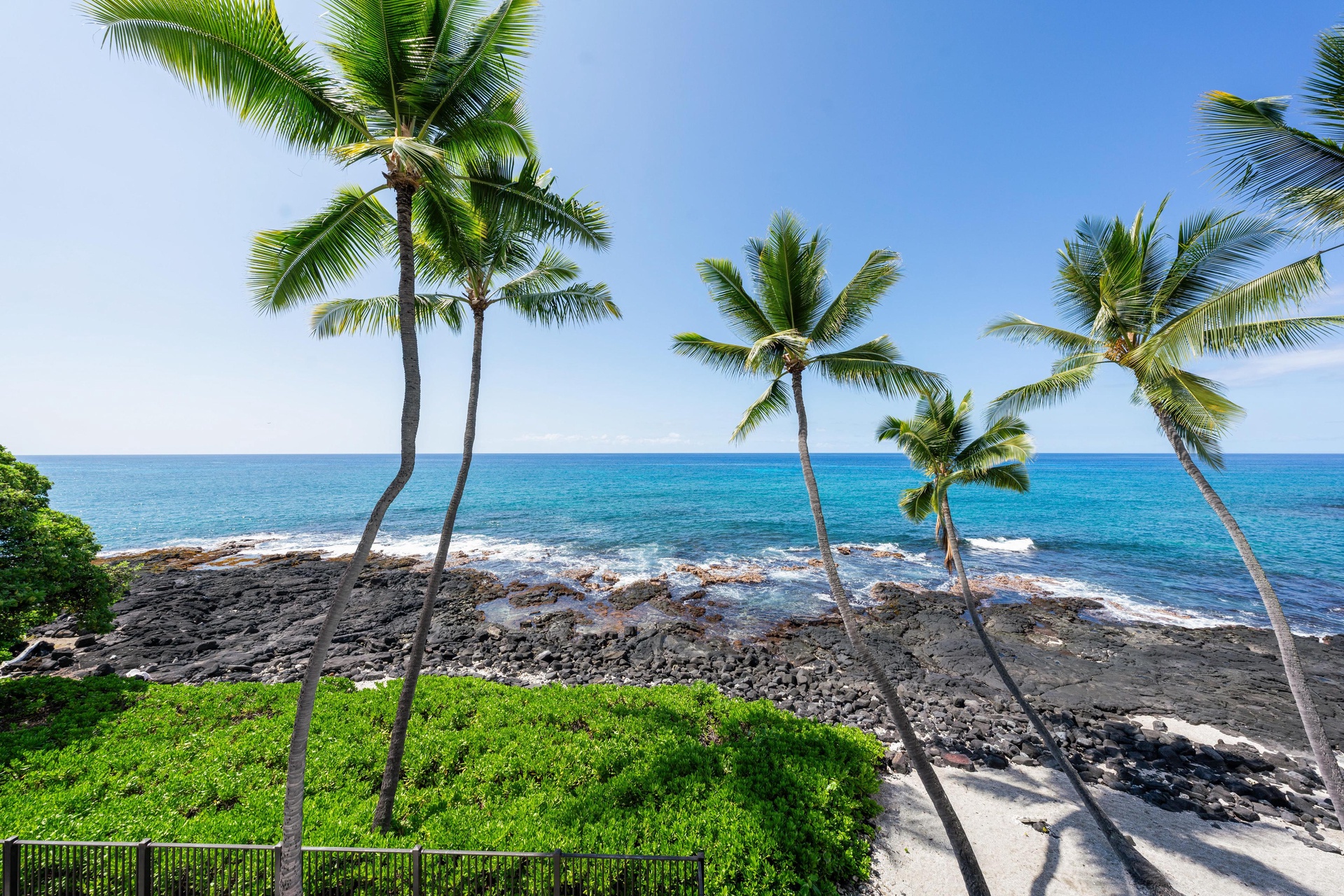 Watch the palm trees sway