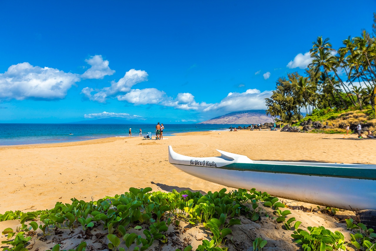 Golden sand beach with tropical palms and azure waters, featuring a traditional outrigger canoe under brilliant blue skies.
