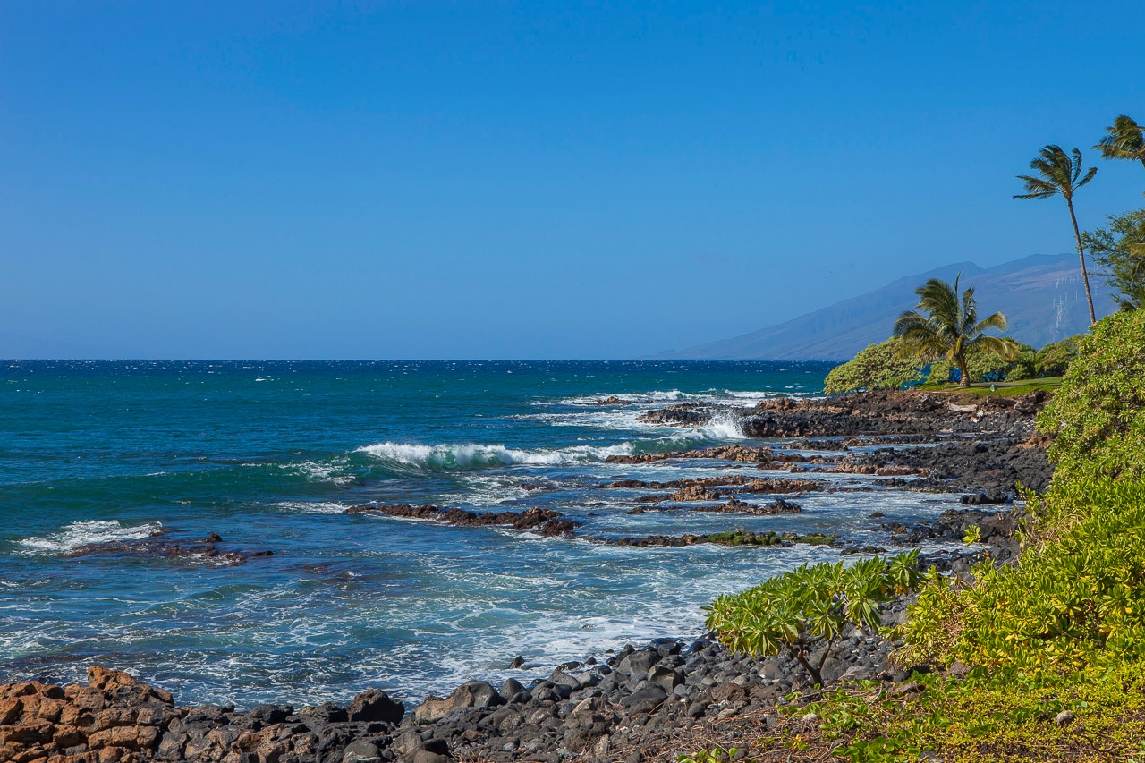 A stunning tropical coastline features volcanic rock shores, swaying palms, and sparkling turquoise waters with distant mountain views.