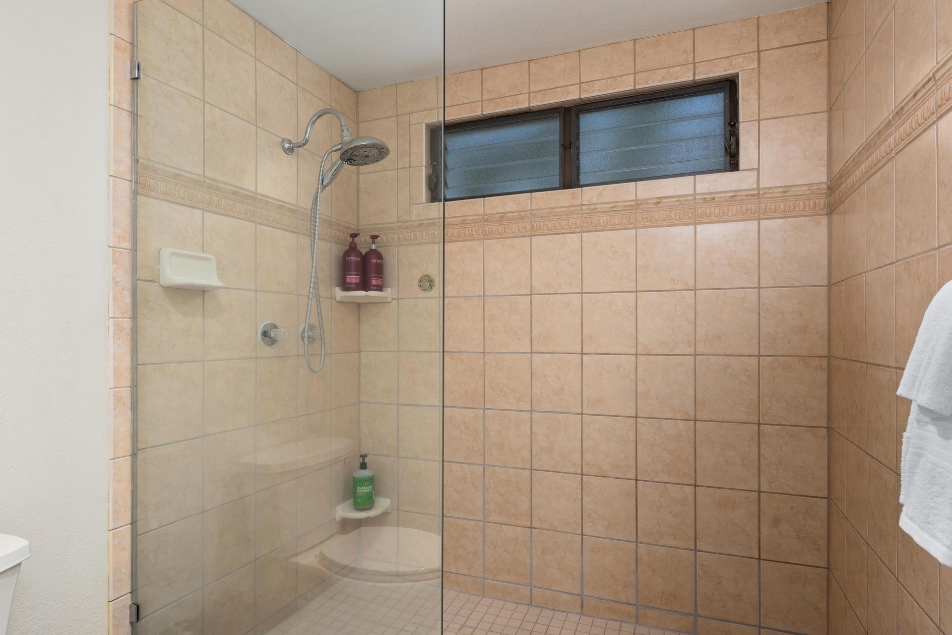 Primary Walk in shower