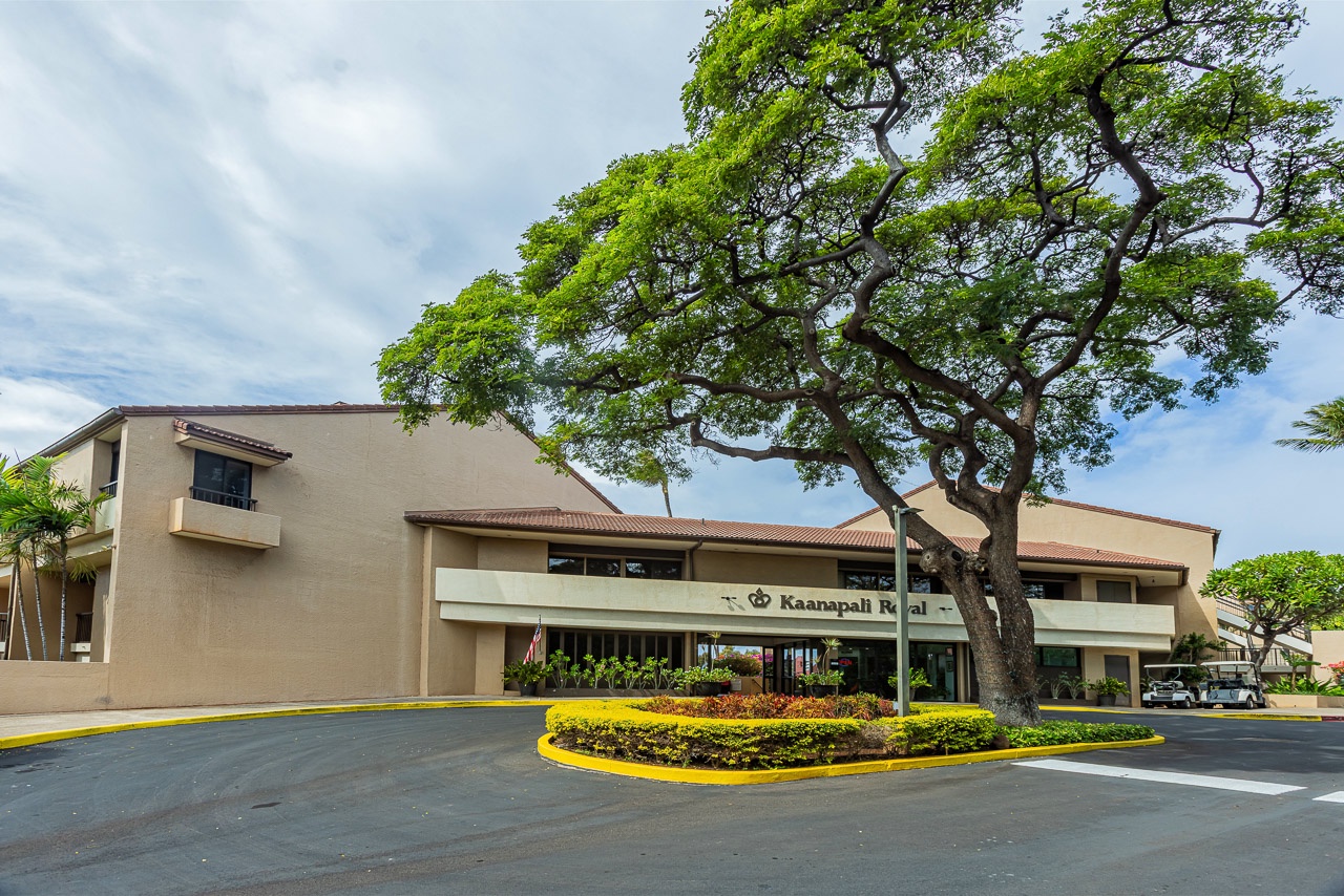The property entrance features a dramatic canopy tree in the circular drive, with parking and landscaped grounds welcoming visitors.