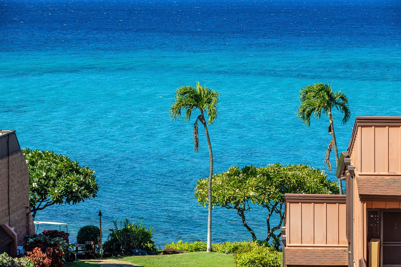 The property overlooks brilliant turquoise waters framed by swaying palms and tropical greenery, offering an idyllic island setting for your getaway.