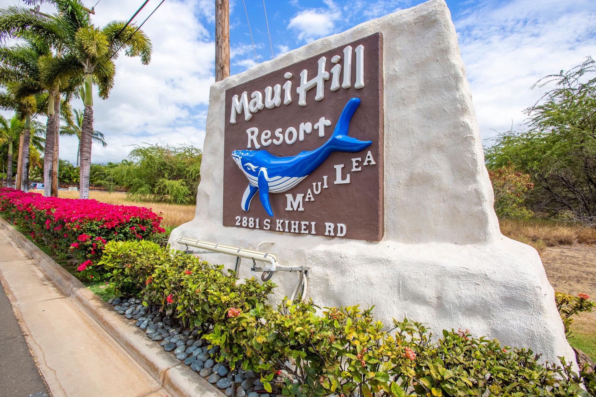 Welcome to Maui Hill