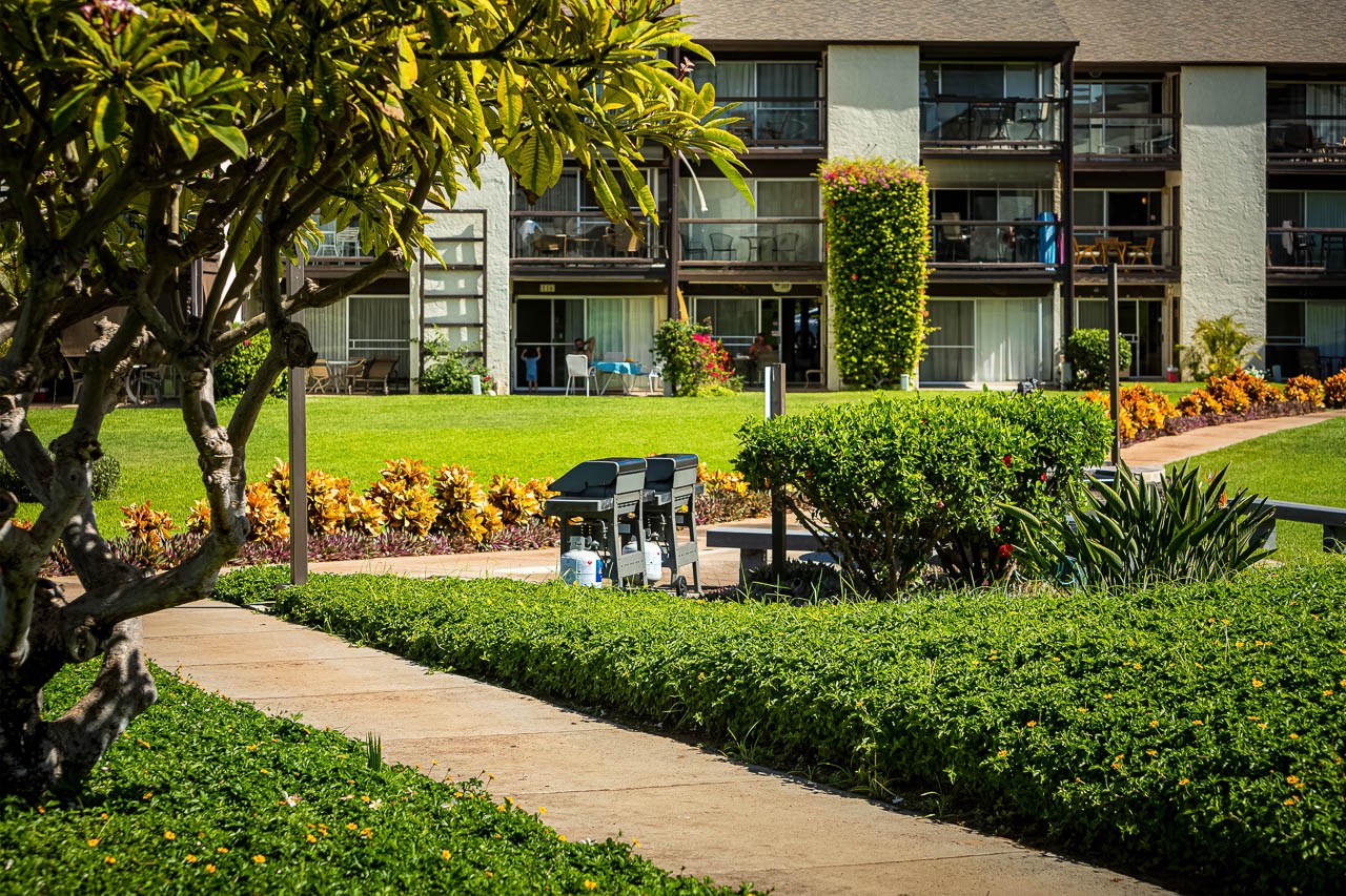 Relaxed outdoor dining with warm Kihei breezes