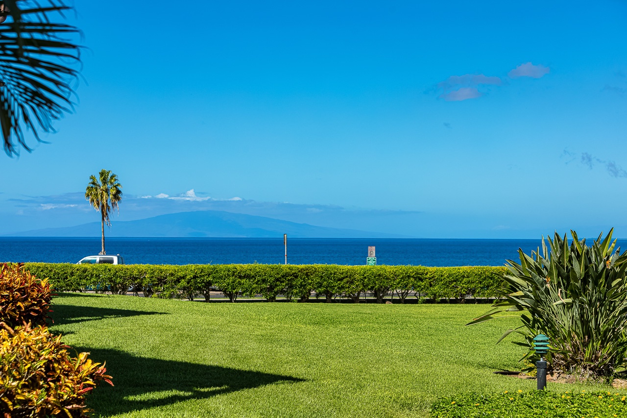 Sunrise stretches and sunset picnics on the knoll