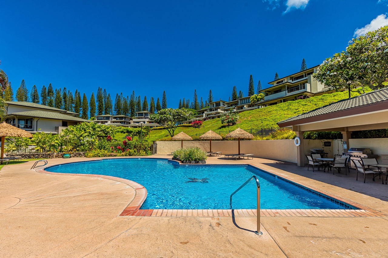 Resort-style pool surrounded by lush hillside gardens and thatched cabanas, with inviting lounge seating perfect for sunny afternoons.