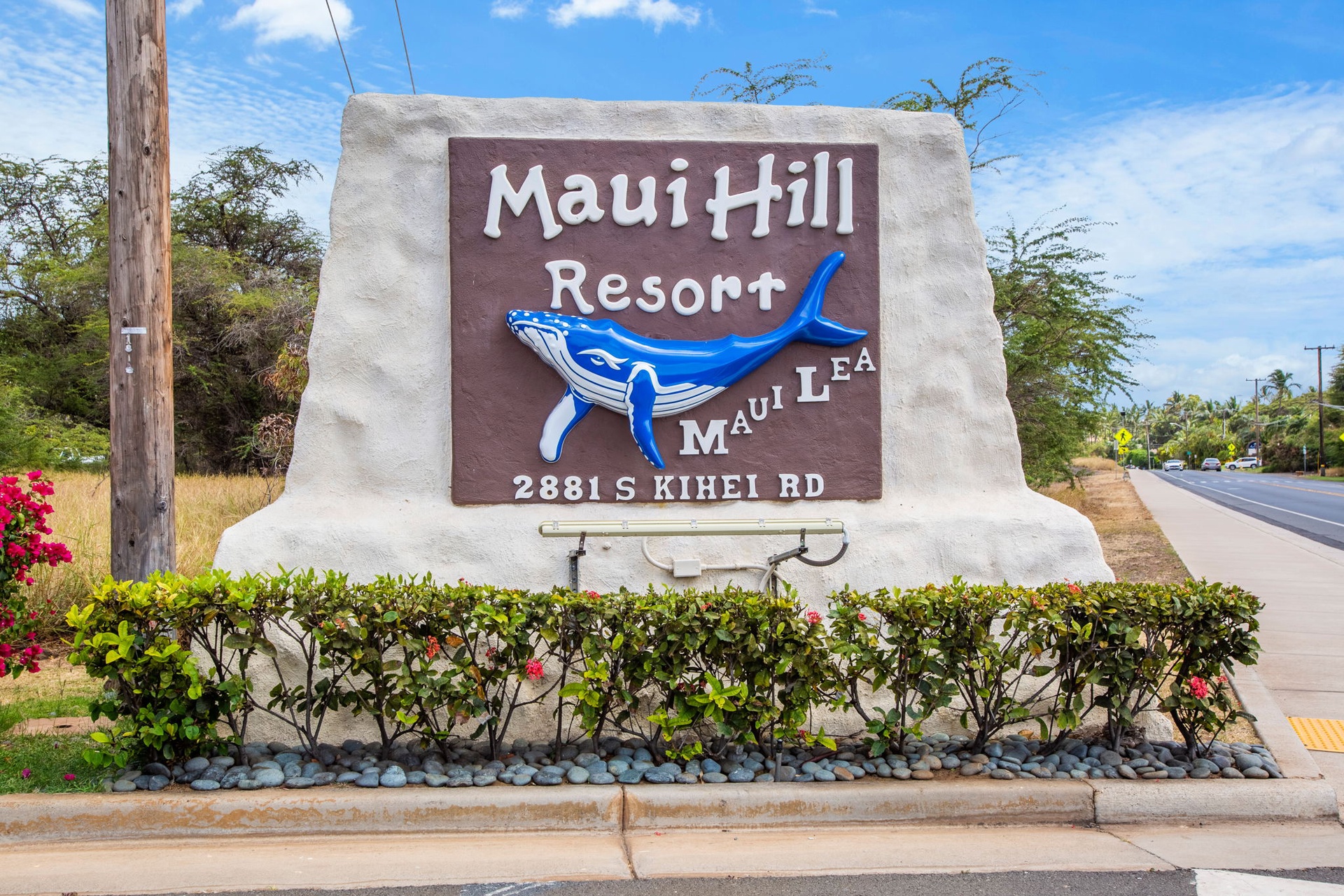 Welcome to Maui Hill