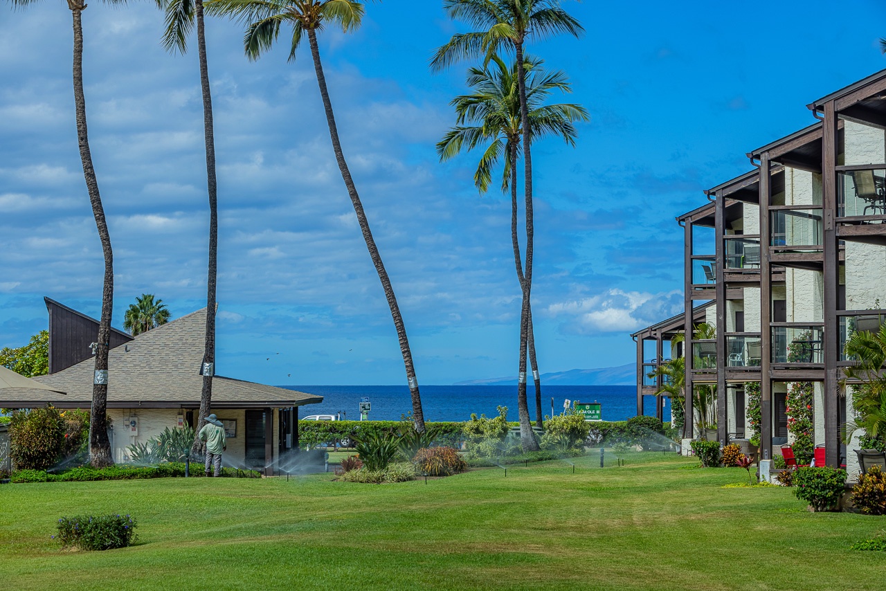 Breezy open lawns set the tone for peaceful Maui days