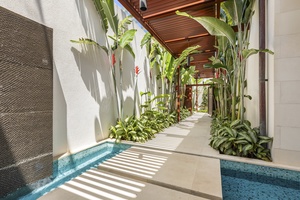 Walk through the lush tropical pathway to the front door, where your private paradise awaits.