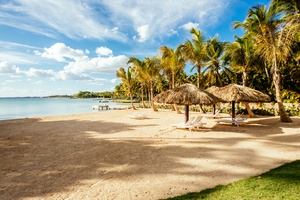 Tranquil sandy beach with shaded loungers.