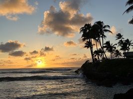 Sunset over the ocean with silhouetted palms.