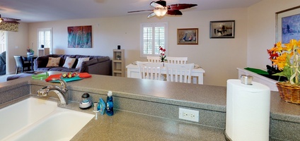 The open floor plan includes kitchen, dining and living areas.