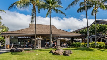Tropical shopping center with Black Sheep Cream Co. and Island Vintage Coffee beneath swaying palms.