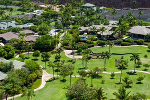 A lush, green landscape with winding pathways surrounded by tropical trees and nearby homes.