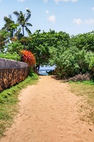 Follow the sandy path for easy access to North Shore beach walks.