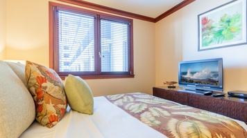 The second guest room with sun dappled views and TV.