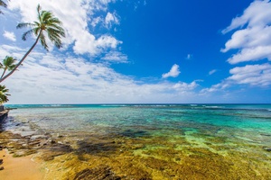 Close to some of the most famous south shore surf spots! Great snorkeling areas too!