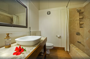 Dedicated en-suite for the lockout suite, featuring walk-in shower and tropical island accents.