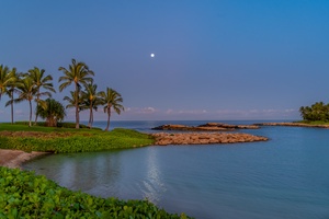 Make a wish under moonlit nights.