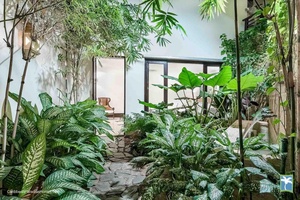 A serene garden pathway, surrounded by vibrant plants and tranquil ambiance.