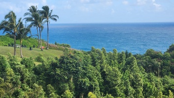 Ocean Views From The House.