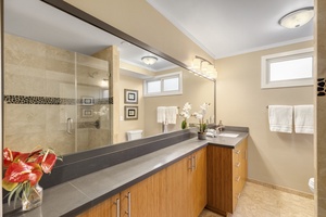 Downstairs bathroom with custom tile shower