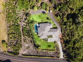 Aerial view showcasing the 3 acres and coffee