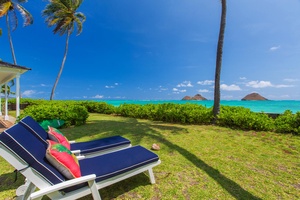 Chaise lounge chairs in back yard.