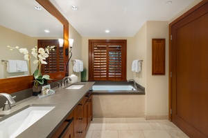 The primary guest bathroom with a luxurious soaking tub.