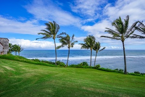 Relaxing views of the waves rolling in