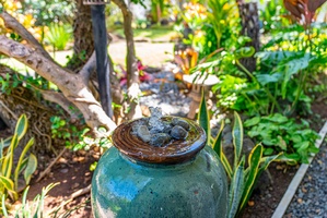 Surrounded by lush tropical flora.