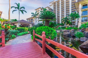 Take a stroll at our Koi pond.