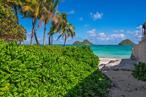 Ocean access cove at the end of the beach path