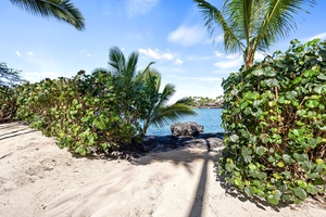 Tropical beach paradise with swaying palms, lush vegetation, and crystal-clear waters framing this pristine coastal setting.