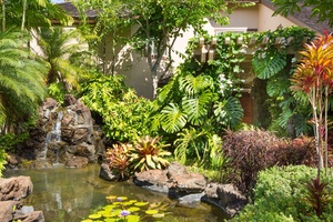 Tropical garden paradise with peaceful waterfall and lily pond