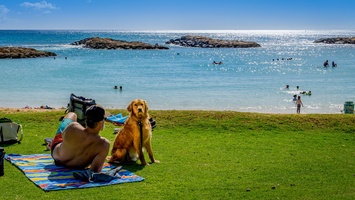 Peaceful days at the lagoon with sparkling ocean waters.