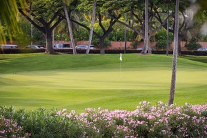 The expansive greenery of the golf course on the island.