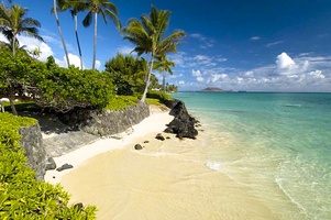 Beach Fronting Property