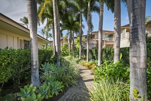 The garden is the perfect spot to stroll around in the morning.