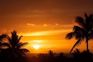 Perfect location to take in the breathtaking Hawaiian sunset