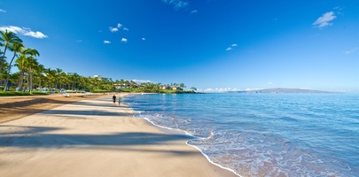 Panoramic Ocean and Beach Views