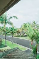 Tropical street view framed by lush palm trees and residential buildings in a peaceful neighborhood setting.