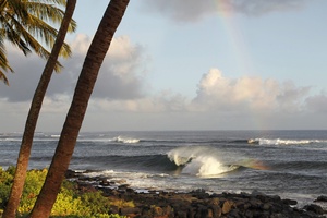 Surfers catching waves along the picturesque Lawai Road shoreline.