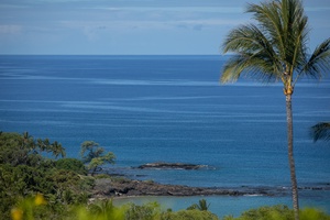 Sweeping ocean views with lush greenery, capturing the beauty of Hawaii’s coastline.