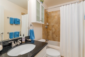 Ensuite bathroom has a shower/tub combo.