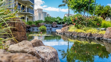 Lush tropical landscape and sparkling waters.