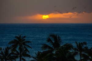 The Pacific sunsets are the perfect ending to your day.