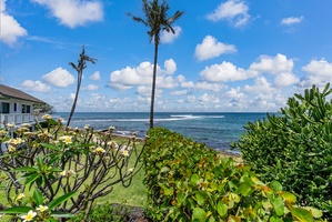 Oceanfront property featuring tropical landscaping with palm trees and flowering plants overlooking pristine blue waters.