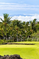 Tropical greens and swaying palms offer a vibrant foreground to your serene stay.