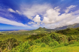 Explore the beauty of Oahu, from lush mountains to breathtaking ocean views.